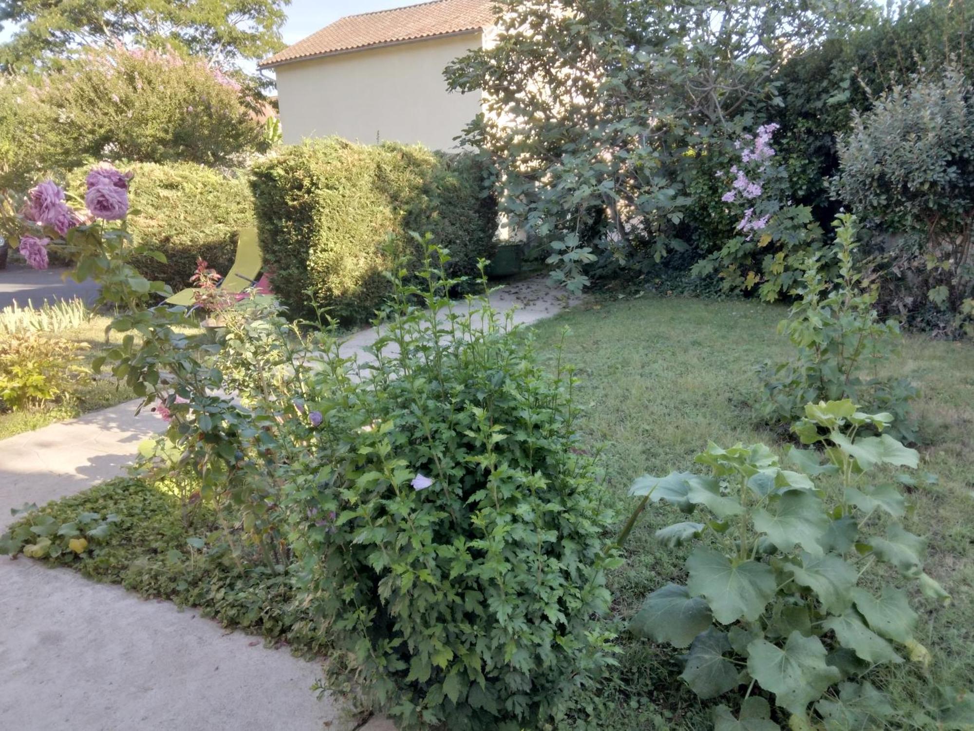 Chambre D'Hote Dans Maison Privee Périgueux Exterior foto